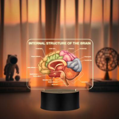 3D Illusion Internal Structure of The Brain LED Lamp, Anatomical Brain Model Light with Warm White Light Black Base, Educational Medical Decor Science Student & Doctor Clinic Decor